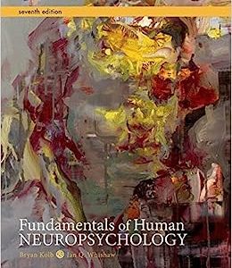 Fundamentals of Human Neuropsychology