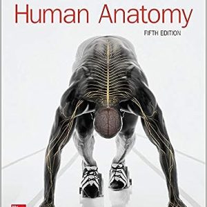 Human Anatomy