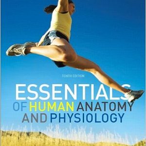 Essentials of Human Anatomy & Physiology