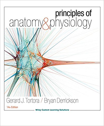 Principles of Anatomy & Physiology 14th edition by Gerard J Tortora - Test Bank