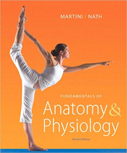 Fundamentals Of Anatomy Physiology 9th Edition By Frederic H. Martini - Test Bank