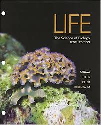 Sadava 10th Edition Life The Science of Biology - Test Bank