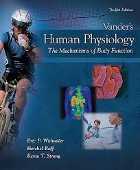 https://testbank.zip/understanding-anatomy-and-physiology-a-visual-auditory-interactive-approach-2nd-edition-test-bank/