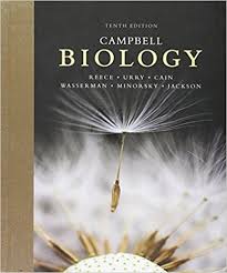 Test Bank For Campbell Biology 10th Edition By Reece