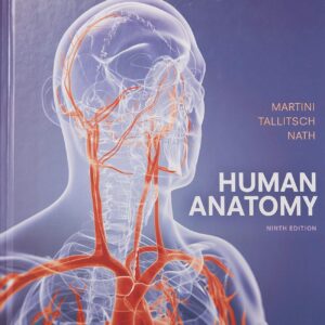 Solution Manual For Human Anatomy 9th Edition By Frederic H. Martini